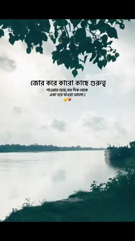জোর করে কারো কাছে গুরুত্ব পাওয়ার চেয়ে,সব দিক থেকে একা হয়ে যাওয়া ভালো.! 😌❤️‍🩹#foryou #foryoupage #bdtiktokofficial🇧🇩 #fyp @TikTok @tiktok creators @TikTok Bangladesh 