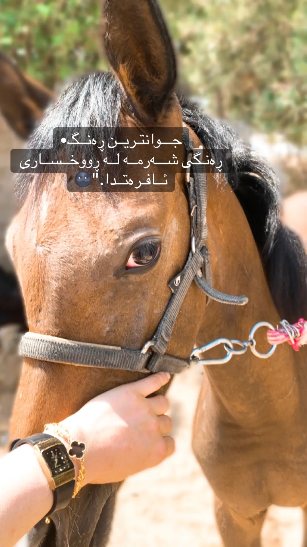 😍#foryou #b4db4xt00 #tiktok 