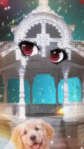 Сподіваюсь нічого не наплутав #суми #українськийтікток #сумы 