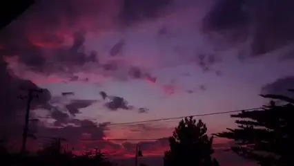 Profecía (Ñengo Flow) - LETRAEl Chivo 🐐  #realg4life #urbano #viral #puertorico🇵🇷 #video   @nengoflowofficial