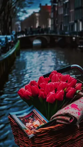 #CapCut  وين وين لي قالو القى مثل جمالو🫠🫣#فولو #foryou #foryoupage #هش 