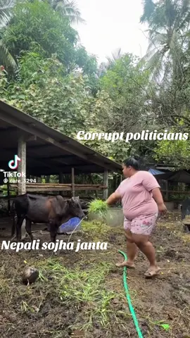 Aash dhekhaune kaam matra#corruptpoliticians #saynotocorruption🚫 #trending #nepobabies #enoughisenough