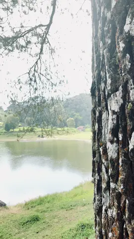 Tenang bngt ☺️ #situpatenggang #situpatenggangciwidey #wisatabandungciwidey #ciwidey #ciwideybandung 