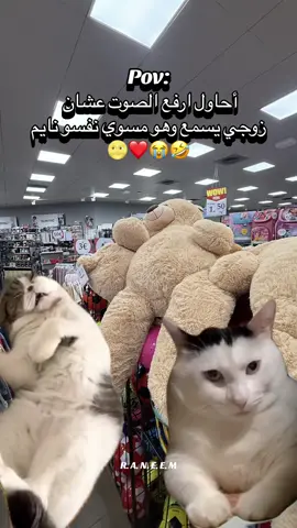 #تريند_التيك_توك #اعملوا منشن#ارفعو_الفيد_اكسبلوراعملولي_اعادة_نشر🥰  #CapCut 