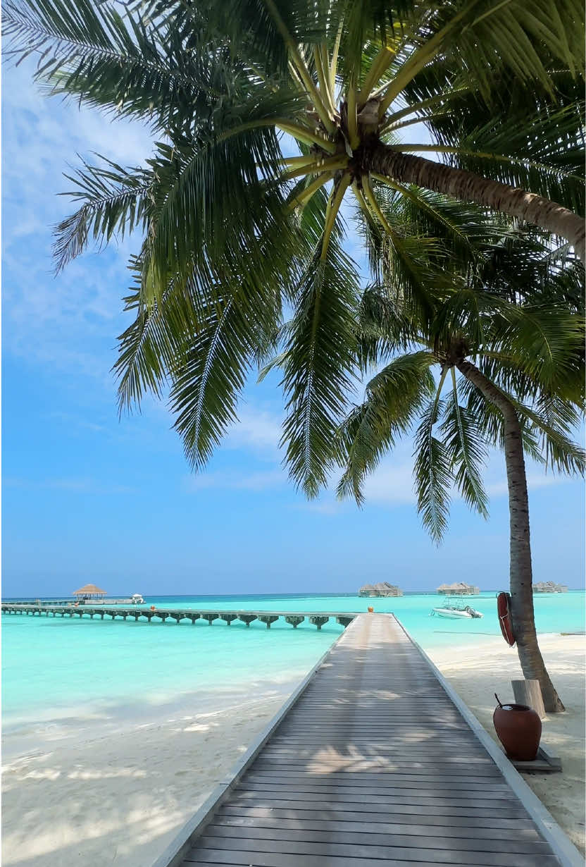 A hidden escape in the heart of the Maldives.🏝️🩵 #maldives #foryou #fyp #beach #paradise 
