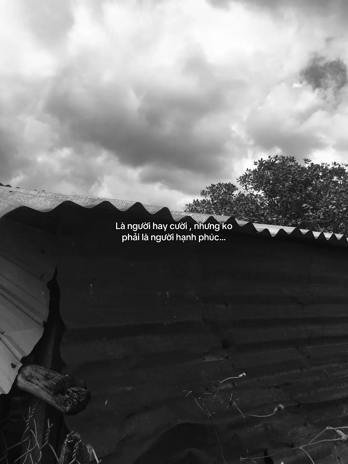 Ko hạnh phúc ☺️ #buon_tam_trang #overthinking #buon #tamtrang #xuhuonggggggggggggggggg 