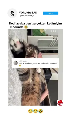 kedi acaba ben gerçekten kedimiyim modunda 😅#keşfet 