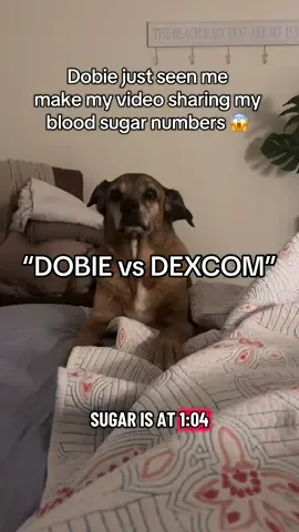 “DOBIE VS DEXCOM”😳😭 #fyp #diabeticalertdog #t1dlookslikeme #type1diabetes #dexcom 
