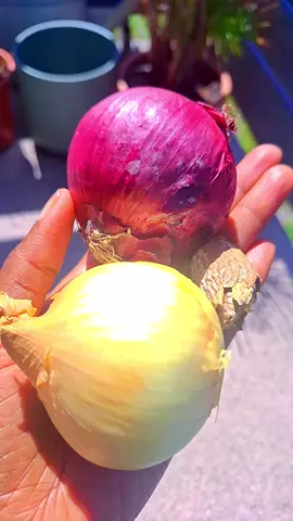 #chacras #ora #✨️✨️✨️✨️✨️✨️✨️✨️✨️✨️✨️✨️✨️✨️ #déblocage 