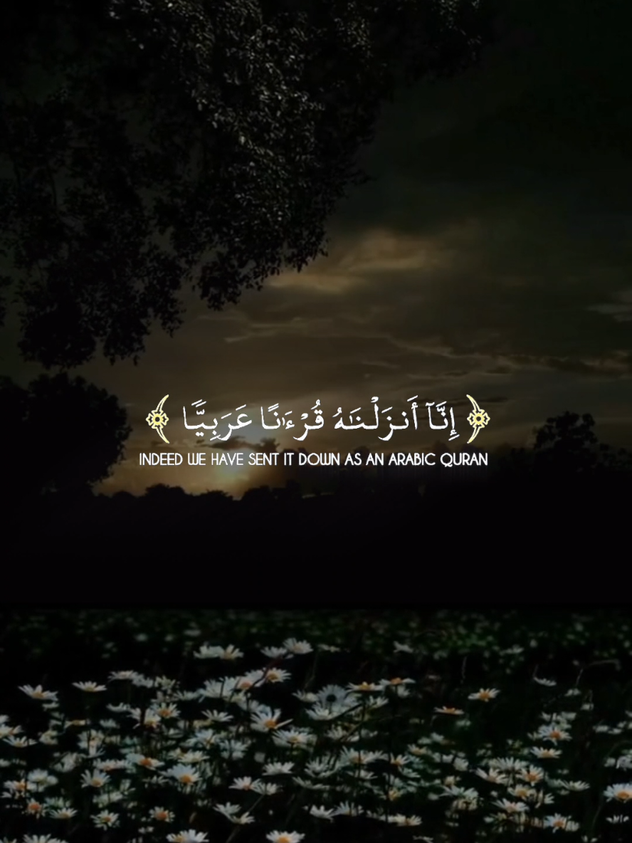 Heart-touching recitation of Surah Yusuf verses2-3 by Abdullah Ahmed Shaban 🤲✨ #QuranRecitation #SurahYusuf #AbdullahAhmedShaban #IslamicReminder #Explore 