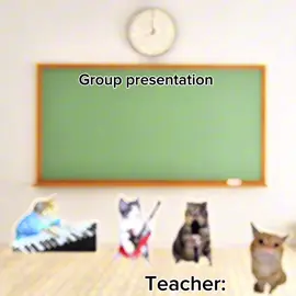 Group presentation #fyp #phonk #cat #fyppppppppppppppppppppppp @vincentnikke 
