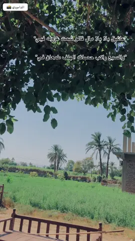 يسلاااام📻👑🖤🖤🖤#المدامودي♡ #ابن_الاقصر 