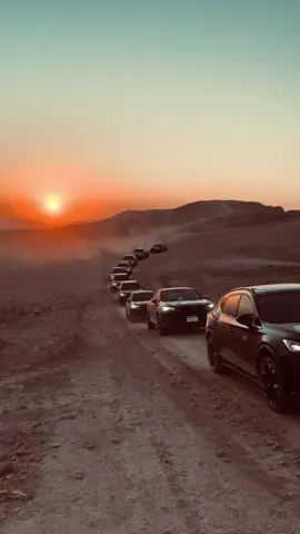 الجامدين #cars #carsoftiktok #car #cupra 