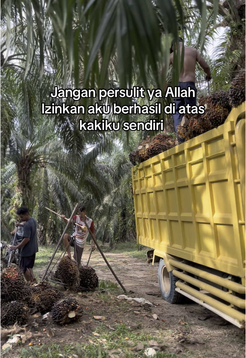 Izinkan ya Allah 🤲😌#fyp #fypシ゚ #fypシ゚viral #fouryou #fypdongggggggg #sawit #kulisawit #petanimudasukses 