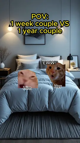 Am I wrong?🤣❤️ #catmemes #relatable #catmeme #Relationship 