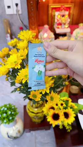 Dùng cái gói này thì hoa tươi nửa tháng mà nước trong bình k bị nẫu, gốc hoa k bị úng #shopgiadungtramtram #nuocduonghoa #nuocduonghoatuoilau #nuocduonghoahana #banthogiatien  @Shop Gia Dụng Trâm Trâm  @Shop Gia Dụng Trâm Trâm  @Shop Gia Dụng Trâm Trâm 