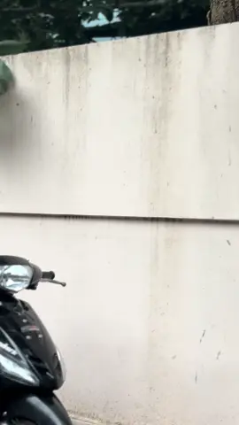 อัปเดตมาแล้วค้าบบ😮‍💨😮‍💨#มีโอไฟรุ้ง #yamahaมีโอแต่ง #ฟีด 