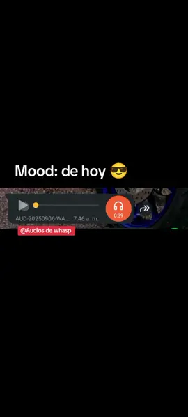 Mood hoy 😎 #audiosparatiktok #audiosvirales #sigueme❤️ #paratiiiiiiiiiiiiiiiiiiiiiiiiiiiiiii 