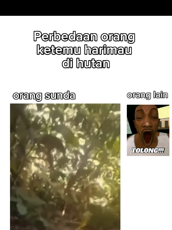 makk tulung!! 😹#perbedaan #meme #orangsunda #ketemuharimau #harimau 