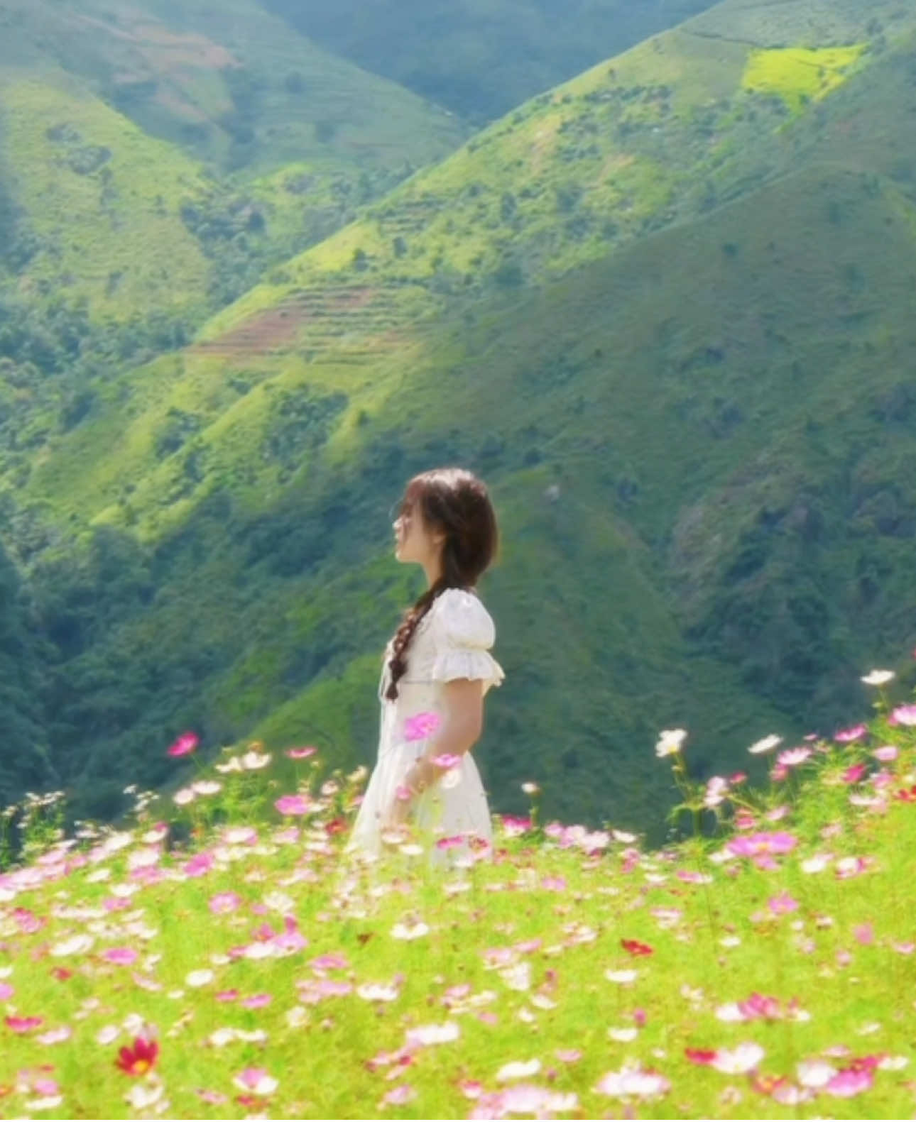 Lạc vào trong mơ 🌸🍃🌻 #taxua #syrena🧜🏻‍♀️ngocanh 