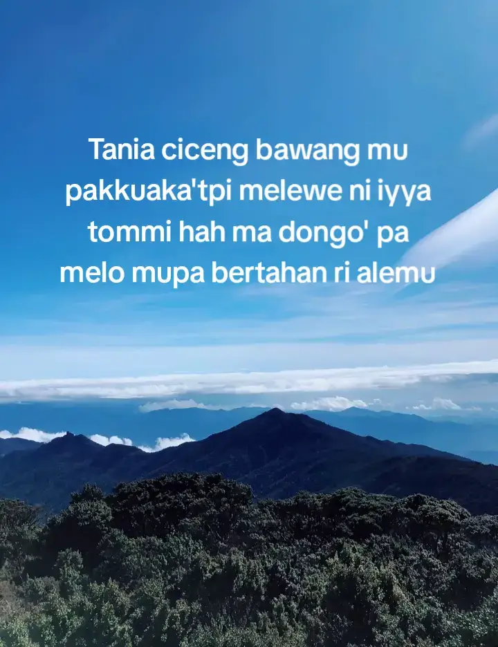 #katakata #bugisstory #bugistiktok #fyp #bugissulawesi 