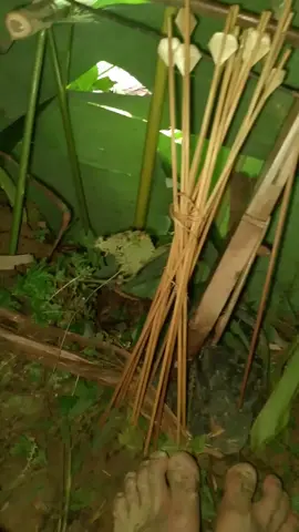 ແດດຮ້ອນແຮງມື້ນີ້ເລີຍມາຖ້າຍິງນົກລົງກິນນ້ຳ(ອາບ)ພໍໄດ້ຢູ່😁🥰