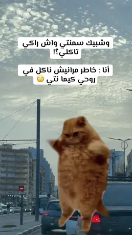 #memecut #meme #😂😂😂 #Meme #MemeCut 