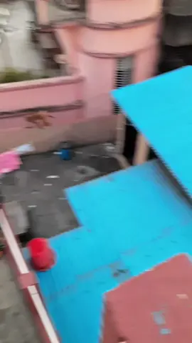 বেডি মানুষ মোবাইল এর ধেনে থাকলে বান্দর রেও আপন মানুষ মনে হয়😂🤡😂 
