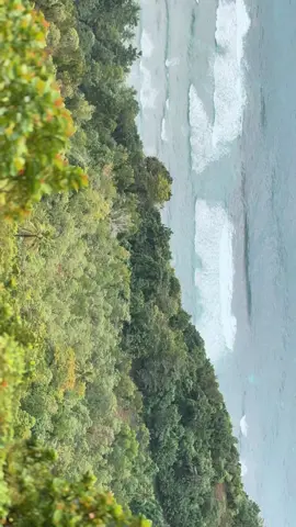 #paralayangambon #ambonmanise 