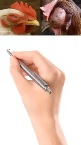 coryza#disease#tretment#poultry#for #farm@Khanpoultry.farm @Warrich poultry farm Vehari @JAMAR EAST POULTRY FARM @Kalungi local poultry  farm @Poultry Care @Poultry @310 Farmer @poultry battery cage supplier 