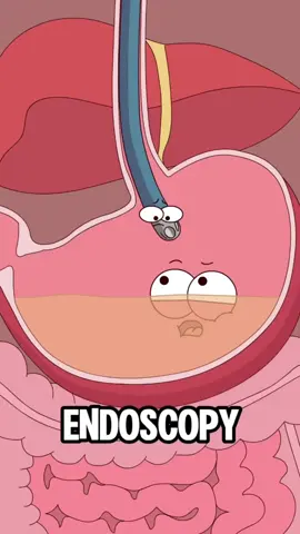 #animation #funny 