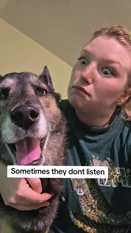 Sometimes he just special #germanshepherd #dog #rescuedog #funny #silly 