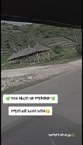 መቃም ይቀጥላል🌿#fypシ゚ #viral #viralvideos #fyp #🌿🌿🌿🌿🌿🌿🌿🌿🌿🌿 