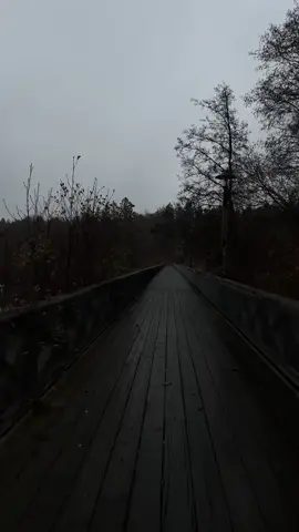 I really like this atmosphere, it is lonely, romantic, healing, and also the abyss.#fyp 