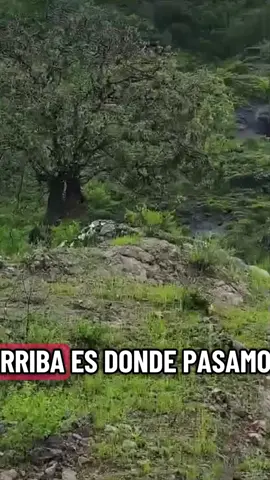 #rancho #sierra #dirango #fyp #parati 