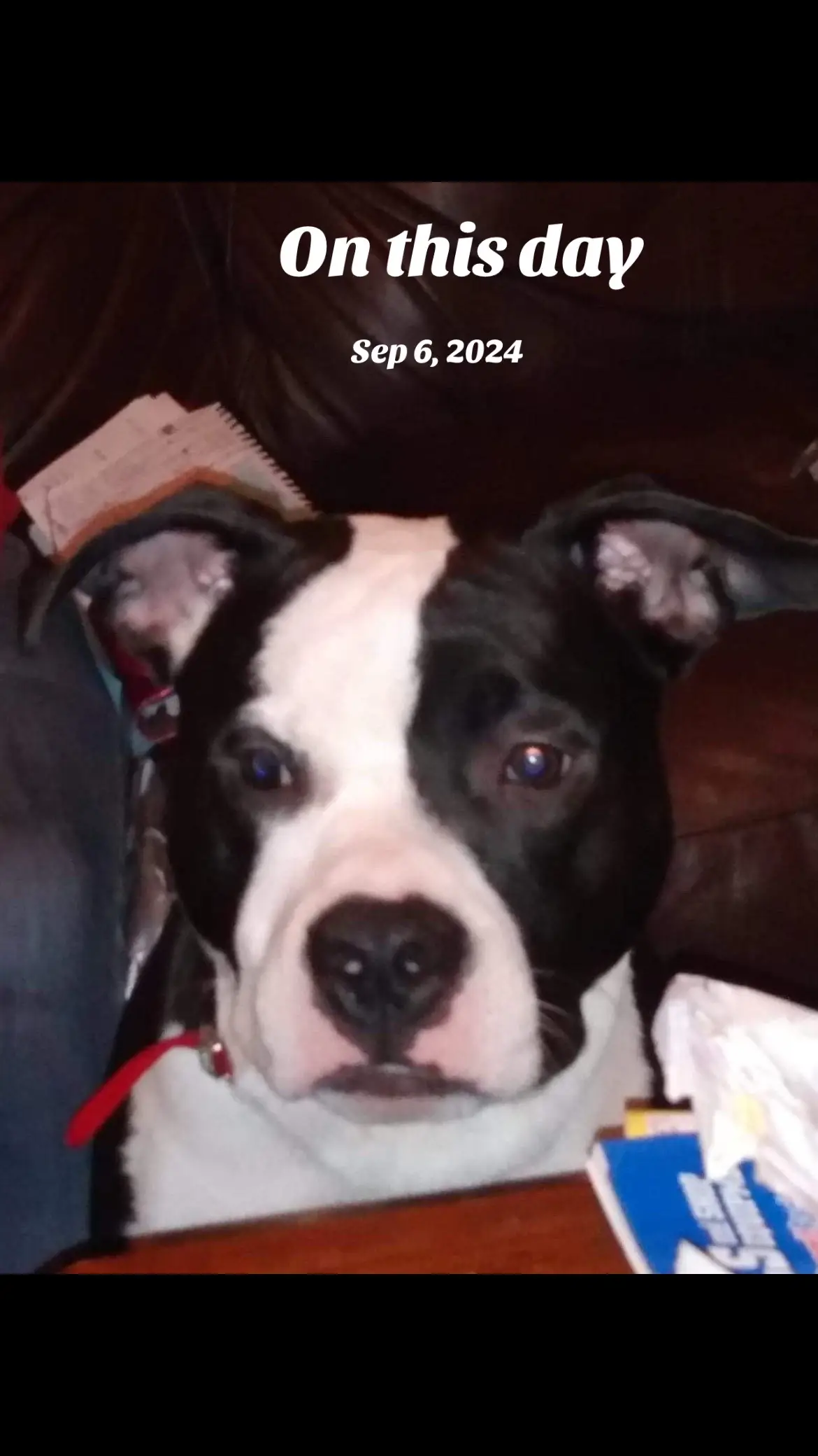 #onthisday #fypシ゚viral CASH