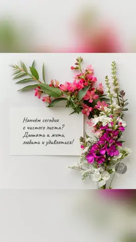 #статусы #цитаты 