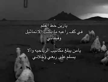 #محسن _ال مطارد#يازين_خط_القلم#محسن#المطارد#💤💤🗣️ 