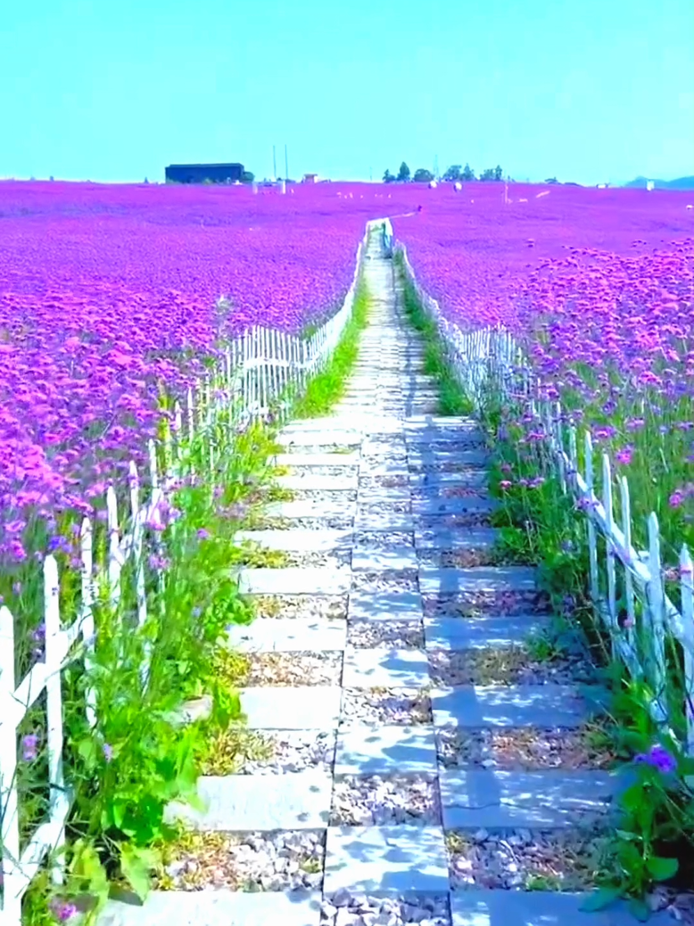 Beautiful places 😍 in the world 🌎 | Hidden gems | 4k nature | #beauty #nature #travel #creatorsearchinsights #fyp 