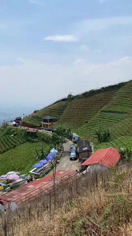 Bikin candu tempatnya🍃 #panyaweuyanmajalengka #tempathits #fyppppppppppppppppppppppp #wisatamajalengka #fypagetiktok 