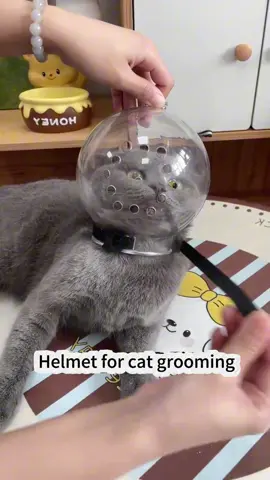 **🐱✨ The Comfortable & Breathable Cat Cone Your Pet Won’t Hate!**  Say goodbye to stressful vet visits and messy grooming sessions with the **Ultra-Light Cat Recovery Collar** – designed for maximum comfort *and* visibility!  ✨ **Why It’s a Game-Changer:**  ✔️ **Full Visibility** – Transparent design lets them see clearly  ✔️ **Ventilated & Lightweight** – No more struggling or discomfort  ✔️ **Multi-Use** – Perfect for post-surgery, nail trims, or bath time  #PetCare #CatEssentials #HappyKitty  💬 **Tag a cat parent who needs this!**  👇 **Swipe to see how comfy it is!**  **P.S.** That *”Wait... I can actually move in this?!”* face? **Priceless.** 😲💕  —  **🛒 LINK IN BIO – Keep recovery stress-free!**  *(Perfect for: Spays/neuters | Wound care | Dramatic groomers)* 🏥🐾