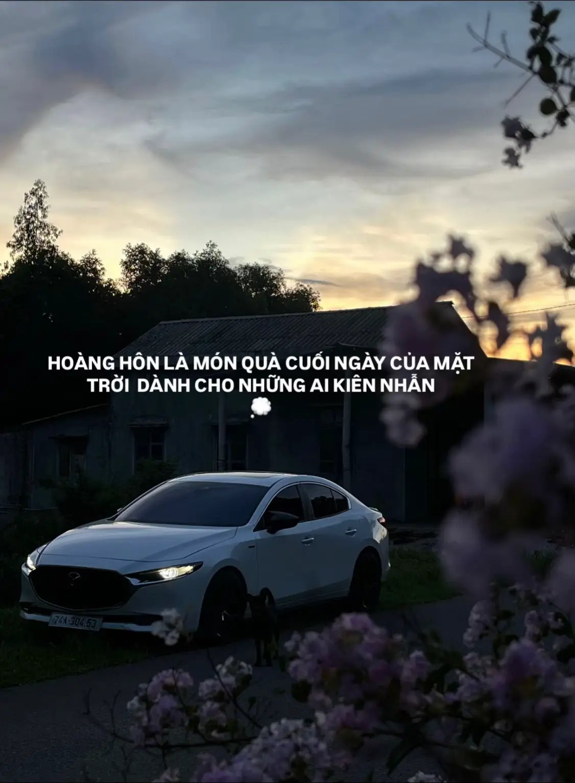 HOÀNG HÔN LÀ MÓN QUÀ CUỐI NGÀY CỦA MẶT TRỜI. DÀNH CHO NHỮNG AI KIÊN NHẪN 💭☀️ #mazada3  #chillhoanghon  #chillmycar #noithat 