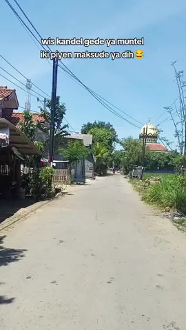 #fypシ゚viral #tarling_indramayu_cirebonan #sudimampirbalongan