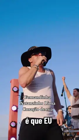 Sucesso, Fernandinha Natanzinho Lima Coração de rua. #tiktok #fyp #music #foryou #fy 