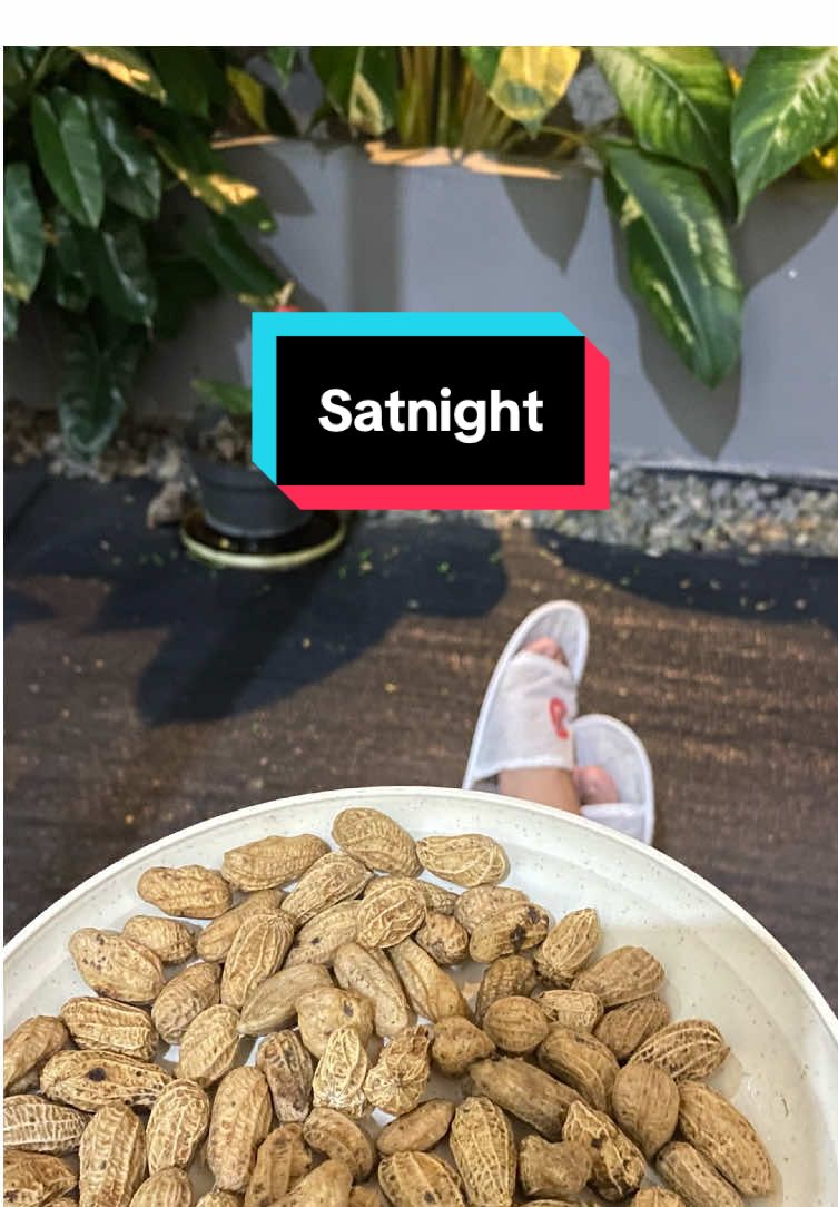 #dirumahaja #tamandalamrumah #tamanindoor #fyp 