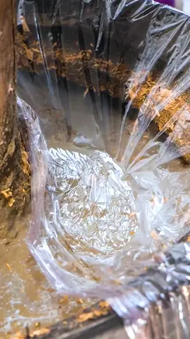 Purr-fect cat tower from a dull tree 🐱 #petowners #DIY #craft #woodwork #greenlife