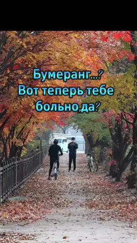 отношения в паре #мудрыеслова #психологияотношений #Любовь #психология 