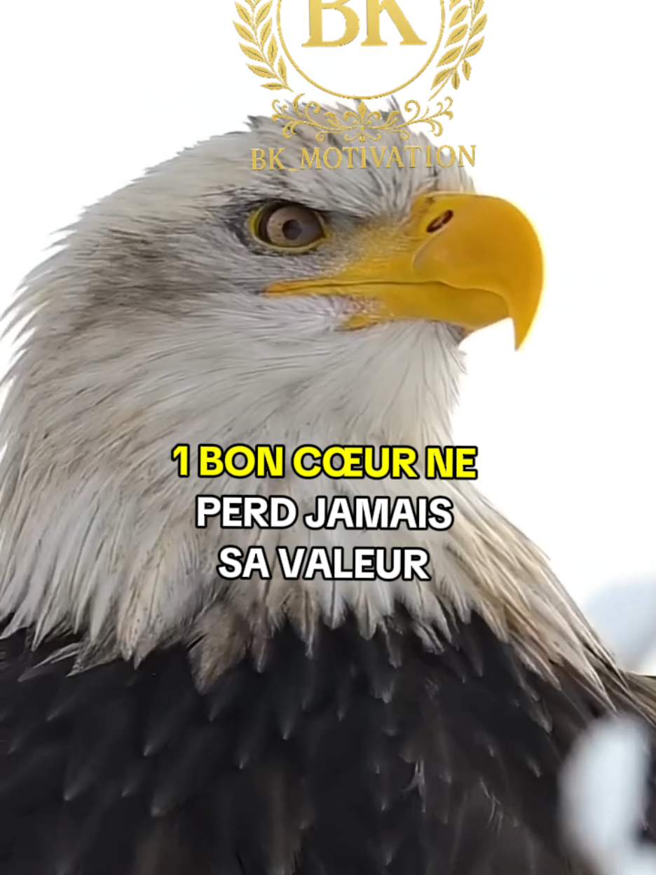 Un bon cœur ne perd jamais sa valeur #citation #conseils #motivation #france🇫🇷 