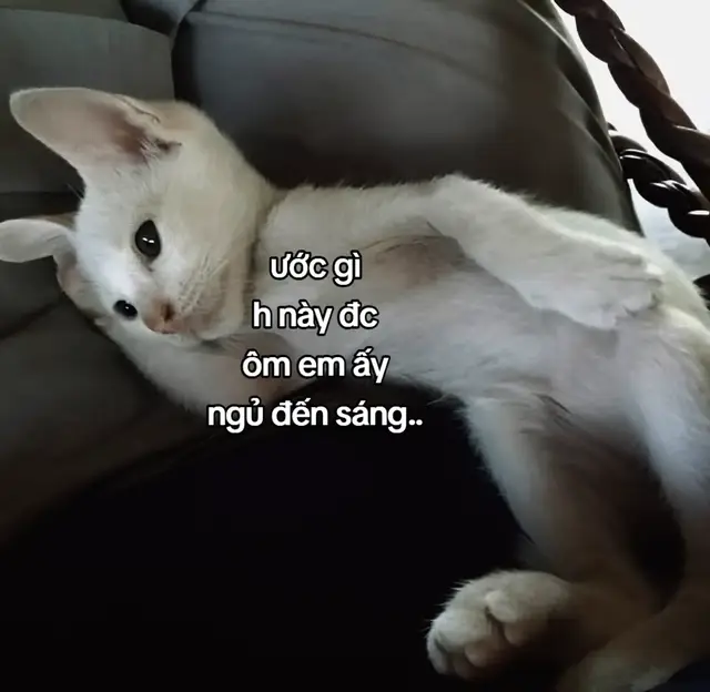 #fyp #abcxyz #tinhyeu #xh #xuhuong 