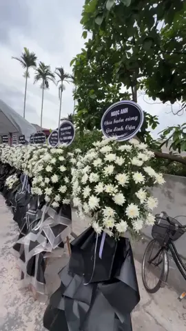 nhanh quá cậu ơi sắp 100 ngày cậu rồi 🥹🌻#TrongDuong #🌻🌻🌻 #xhtiktok2025💗💗 #🌻 